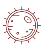 ilustración de una bacteria de celulitis con su forma redonda y su interior formado y sus pelos externos